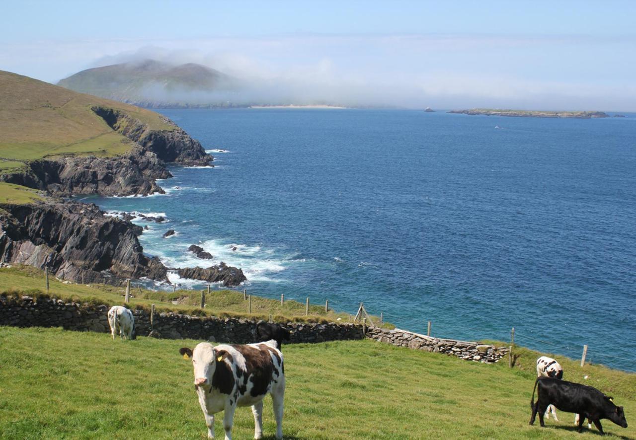 Dingle Harbour Cottages 3 Bed Sleeps 7 By Trident Holiday Homes Extérieur photo